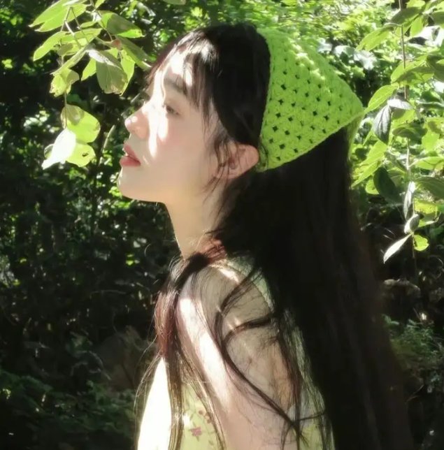 白头盔